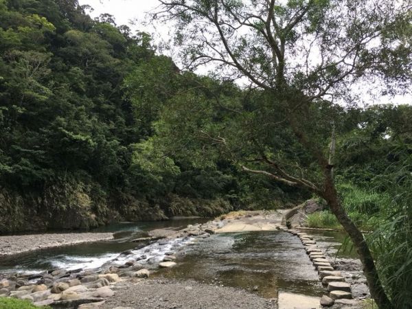 雙流國家森林公園303750