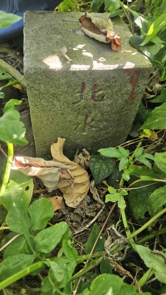 20250828尖山西峰-外挖子主北山-光明頂主前峰2873577