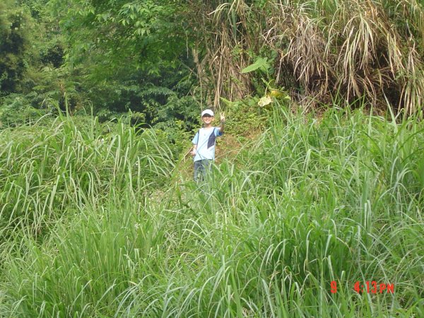 2009 May 騎龍古道(大背山)585774