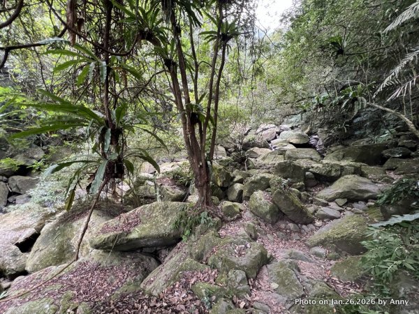 【新竹縣】親民又原始的馬胎古道＋南坪古道2991166
