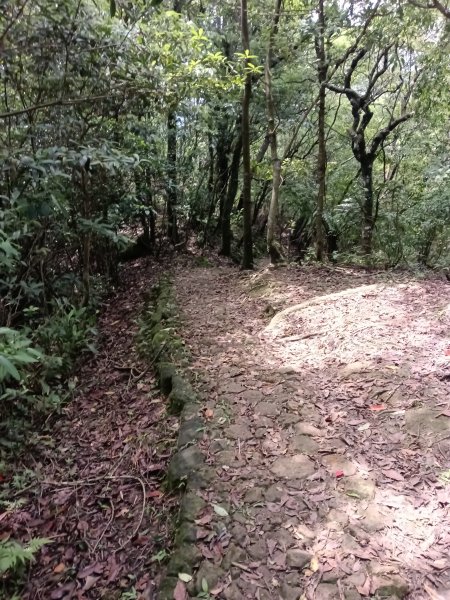 平溪區三功大厝+番子坑山+千階嶺步道O型2781167