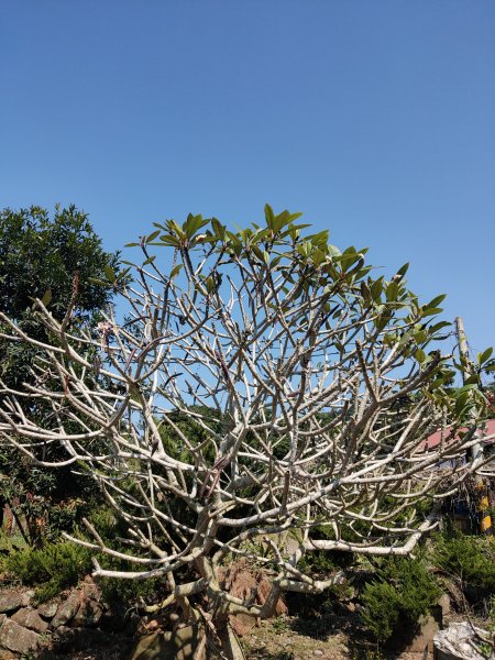 華山步道群1253500