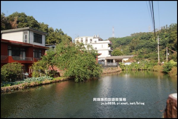 新埔鹿鳴坑綜合觀光果園。歡迎一起來採果!748006