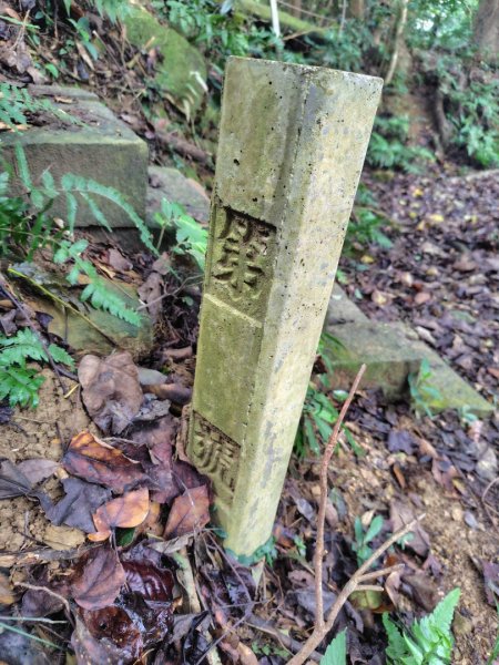 鳳鳴古道 鳳鳴山 南隘勇（南長城）古道 三湖山 八達嶺（龍骨）古道 綠色古道 延平古道2975213
