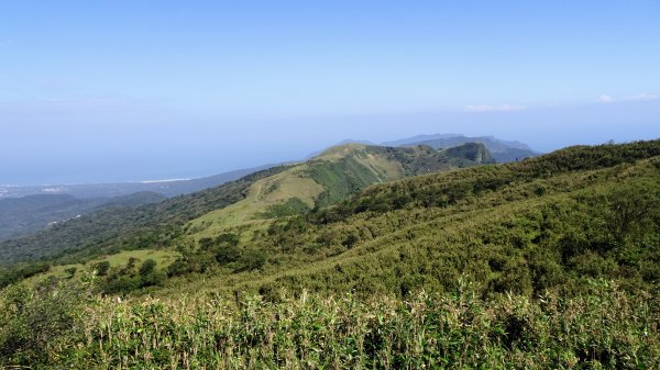 灣坑頭山，大里上大溪下1993807