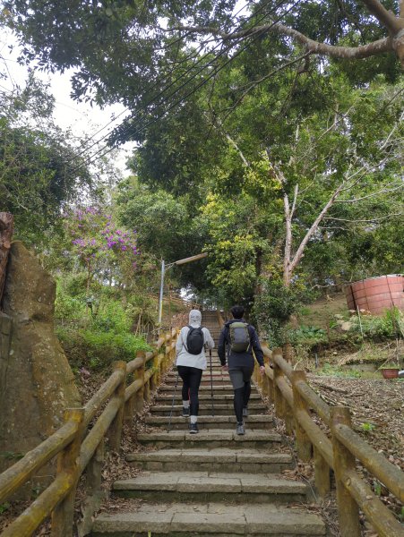 2025.01.18－仙山步道2706093