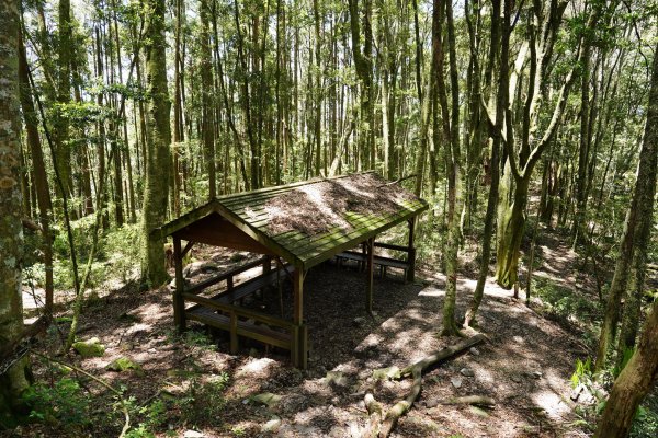 台中 和平 馬崙山2796986