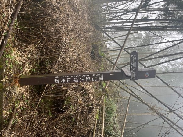 20230924_大湖尖山、大凍山（嘉義縣小百岳）2762742