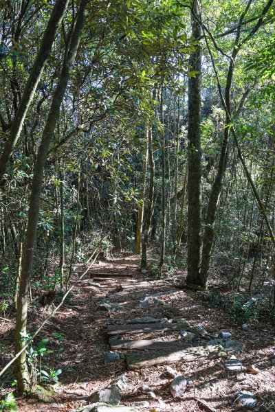 [台中]稍來山2425428