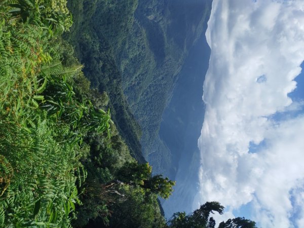 三峽熊空溪上熊空山下山猴洞1455617