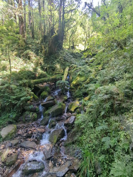 2025.09.28－見晴懷古步道2898756