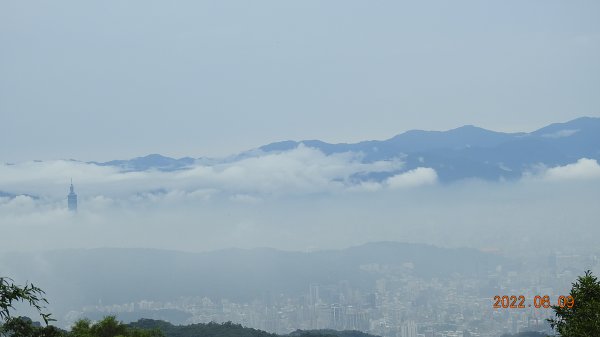 雲山水花鳥蝶 - 雲霧飄渺間的101大樓也是天空之城 ?1731653