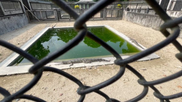 尼泊爾奇旺國家公園4天三夜2788990