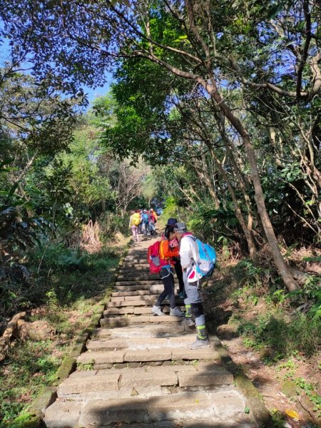 ［象山~深坑8連峰］  （象山～南港山南峰～拇指山～倒照湖山～大坑山～西峰~三腳木山~西峰）2403153