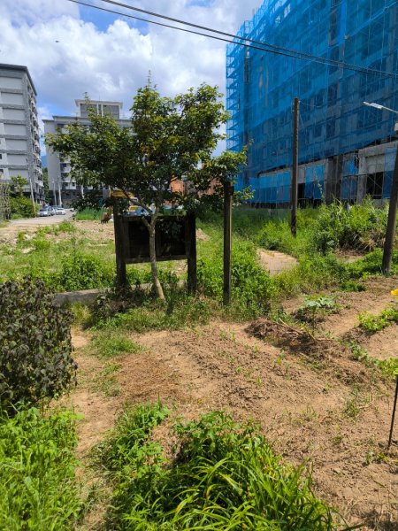 20250824鳶山彩壁2868546