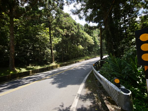 [淡蘭古道] 2026_0524 南路第四段_四堵古道(下)-四堵苗圃步道3070013