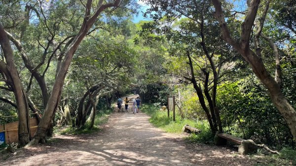 桃園｜蘆竹 五酒桶山步道1487808