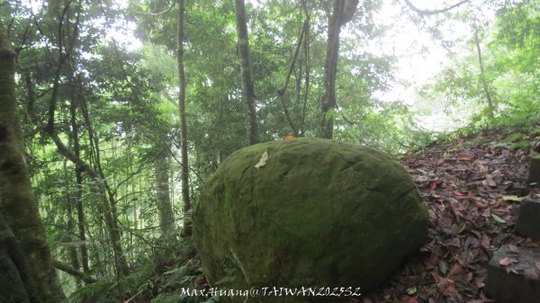 《雲林》望好望角｜石壁山嘉南雲峰步道(中側登山口）202506072805477
