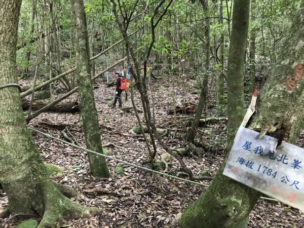 大雪山林道上屋我尾山163399