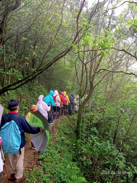 山青水明的桶後越嶺步道2139220