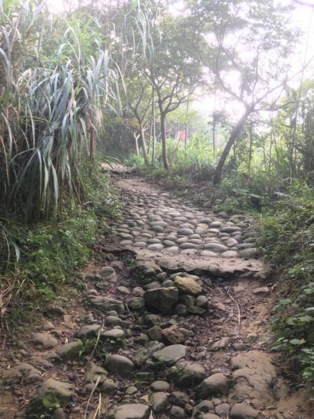 20181026-大凍山初登444944