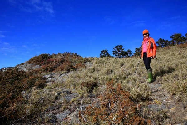 卓社大山 18連峰16218