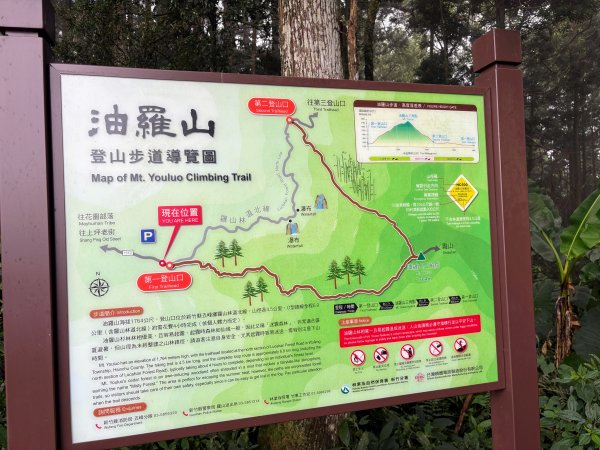 油羅山封面