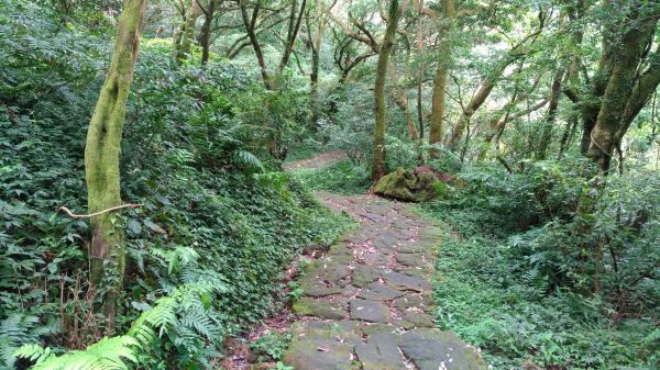 大屯自然公園輕旅行163000