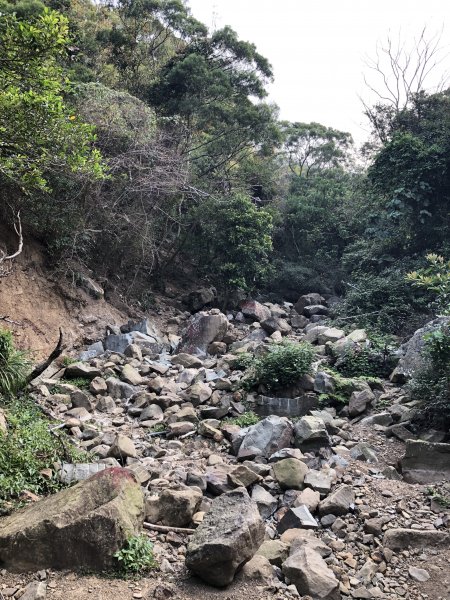 台灣小百岳No.080 里龍山908199
