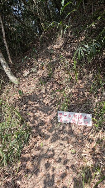 網子山、鳴海山3046430