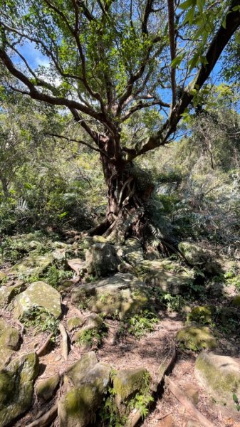 北部三大岩場-筆架連峰-皇帝殿-五寮尖拍空拍寫真💙2663896