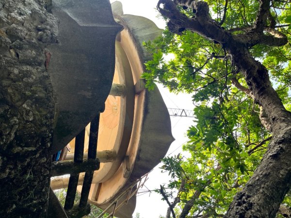 20251101_大崗山（高雄小百岳）2941411