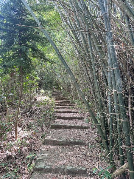 南埔村觀音步道和挑水壢古道順遊客家村落2558749