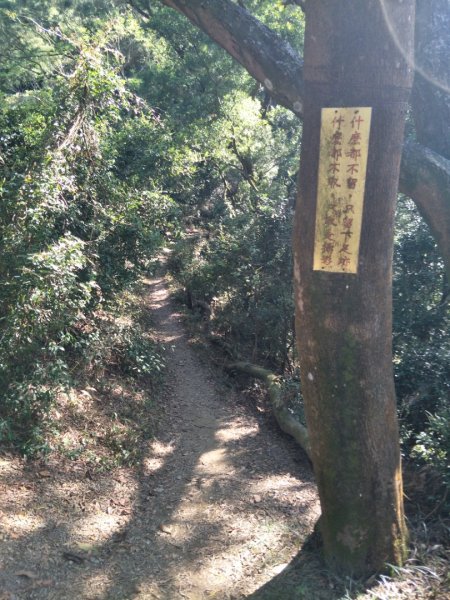 小百岳:棚集山+棚集下山1621810