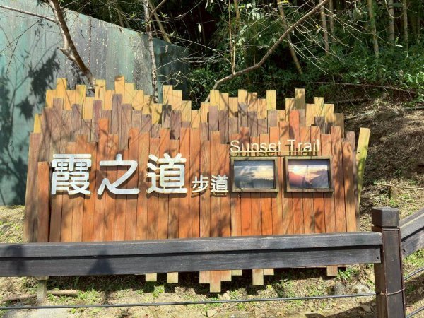 20251029石棹茶、霧、雲、霞、櫻、愛之道 樂野山 霹靂山2926616