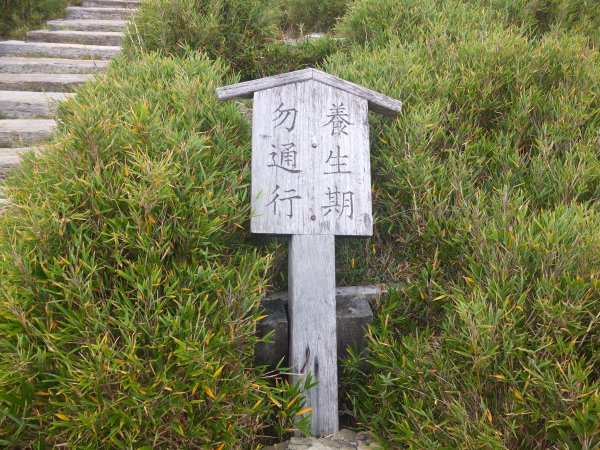 2018.10.20合歡東峰之旅1412411