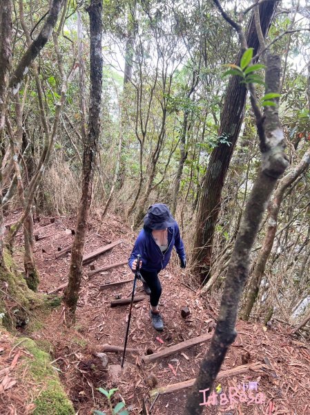 馬崙山-谷關七雄 中級山2337116