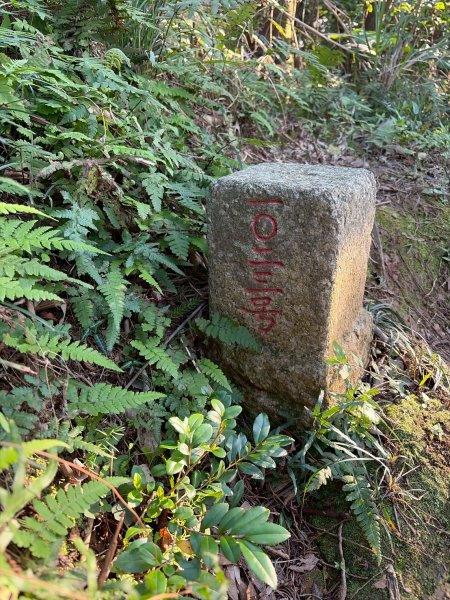 新北 金山 磺港山 獅頭山3000181