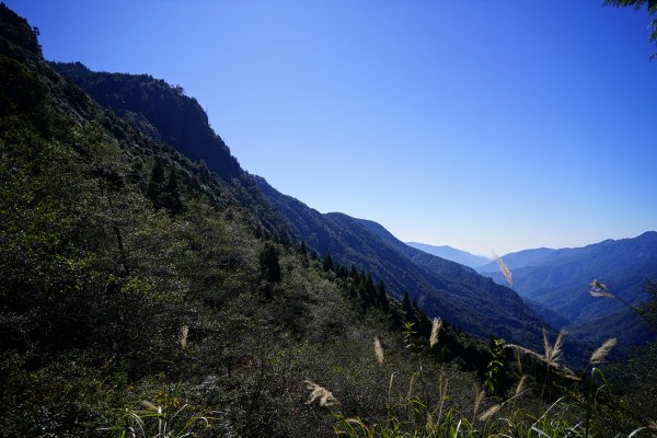 【沒有】【倚天劍】2985255