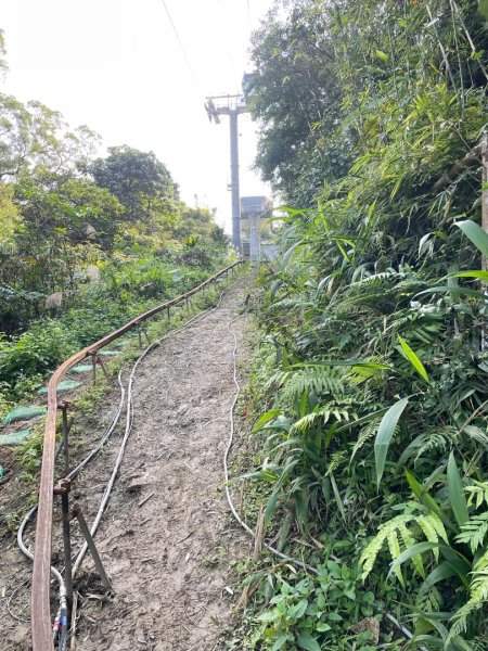 銀河洞越嶺貓空-新高麗坑山-銀獅縱走-猴山岳群峰+三條魚縱走2998272