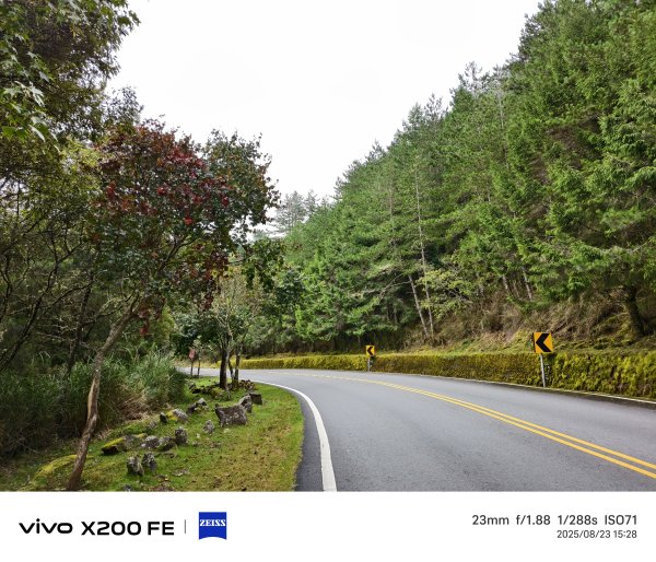 [玉山尋寶任務-06/12] 2025_0823 東埔山步道2870125