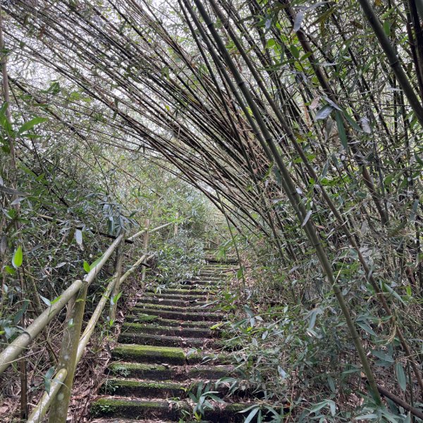 20230924_大湖尖山、大凍山（嘉義縣小百岳）2762733