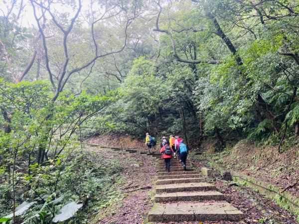 1131225新山夢湖2676507