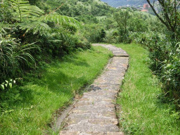 貂山古道．百二崁古道．樹梅坪古道134023