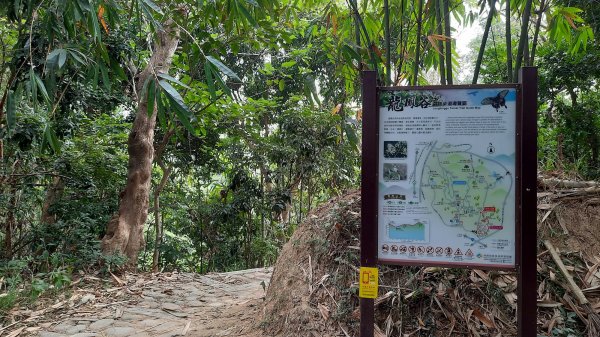 《彰化》果香禪寺｜桃源里及龍鳳谷森林步道202211121907150