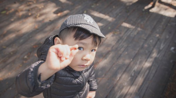 20200310-司馬庫斯神木群步道914317