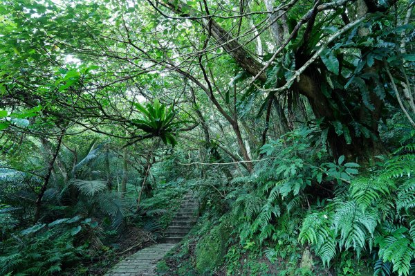 新北 石碇 皇帝殿東峰2628214