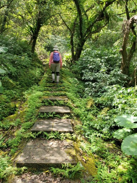 微笑山線：【五分山系】平溪小黃山段2839521