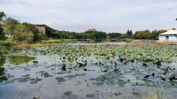 東勢林業文化園區2647974