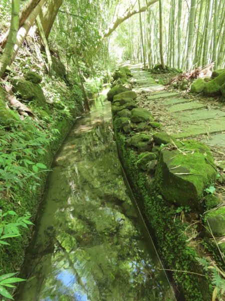 小半天孟宗竹林古戰場+長源圳生態步道Ｏ形2877862